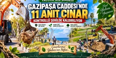 Gazipaşa Caddesi’nde 11 Anıt Çınar İçin Kontrollü Kaldırma Kararı