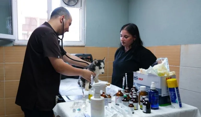 Çiftlikköy’de Can Dostlara Kesintisiz Destek Sürüyor 1 Çiftlikköy’de Can Dostlara Kesintisiz Destek Sürüyor