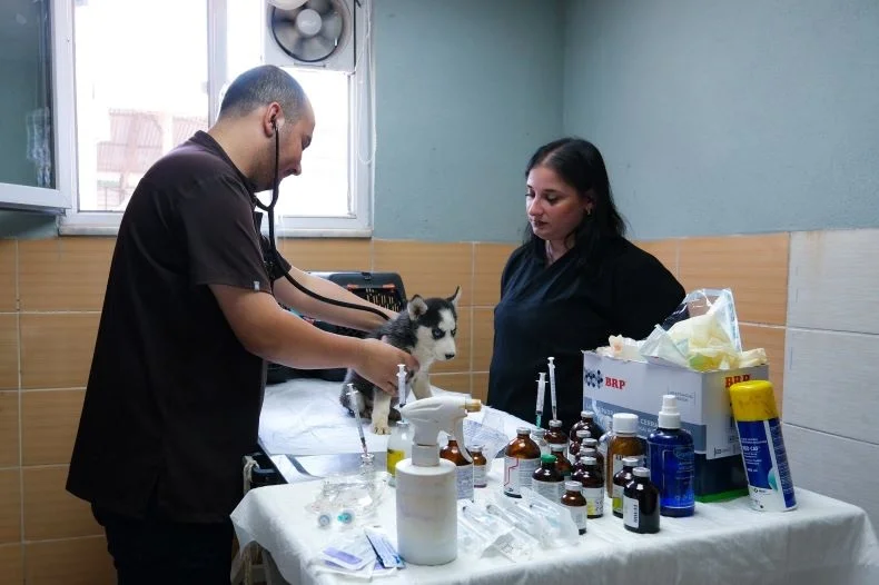 Çiftlikköy’de Can Dostlara Kesintisiz Destek Sürüyor
