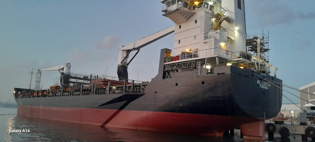 Yalova’da Çevre Skandalı: 