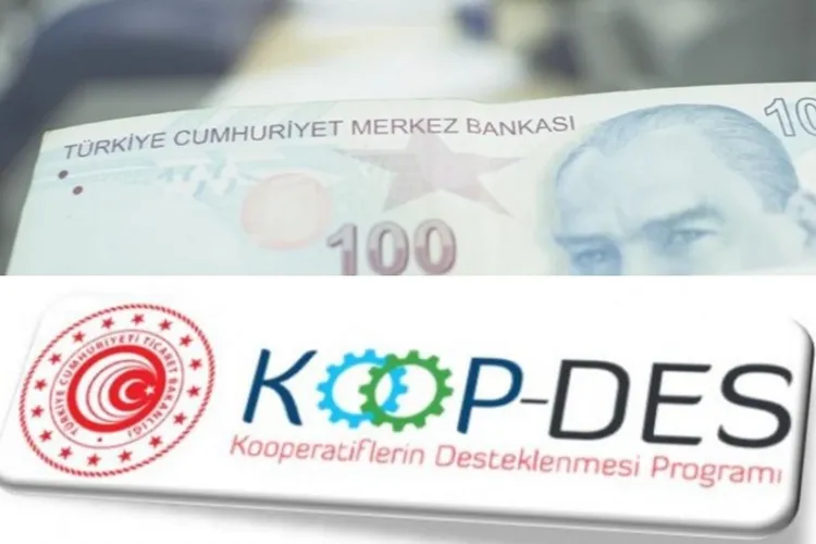 Kooperatiflere Müjde: KOOP-DES 2025 Destekleri Açıklandı!