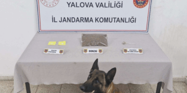 Yalova'da Uyuşturucu Operasyonu: 302 Gram Bonzai ve Sentetik Uyuşturucu Ele Geçirildi 5 Yalova'da Uyuşturucu Operasyonu: 302 Gram Bonzai ve Sentetik Uyuşturucu Ele Geçirildi