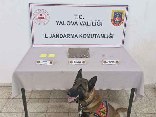 Yalova'da Uyuşturucu Operasyonu: 302 Gram Bonzai ve Sentetik Uyuşturucu Ele Geçirildi