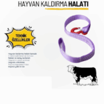 Güleç Kardeşler Hayvancılık ve Yem: 1979'dan Günümüze Tarım ve Hayvancılığın Güvencesi 11 Güleç Kardeşler Hayvancılık ve Yem: 1979'dan Günümüze Tarım ve Hayvancılığın Güvencesi