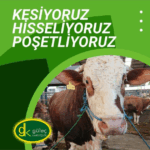 Güleç Kardeşler'den Kurban Bayramı'na Özel Hizmet: Et Teslimatı Özel Kovalarla Yapılacak 6 Güleç Kardeşler'den Kurban Bayramı'na Özel Hizmet: Et Teslimatı Özel Kovalarla Yapılacak