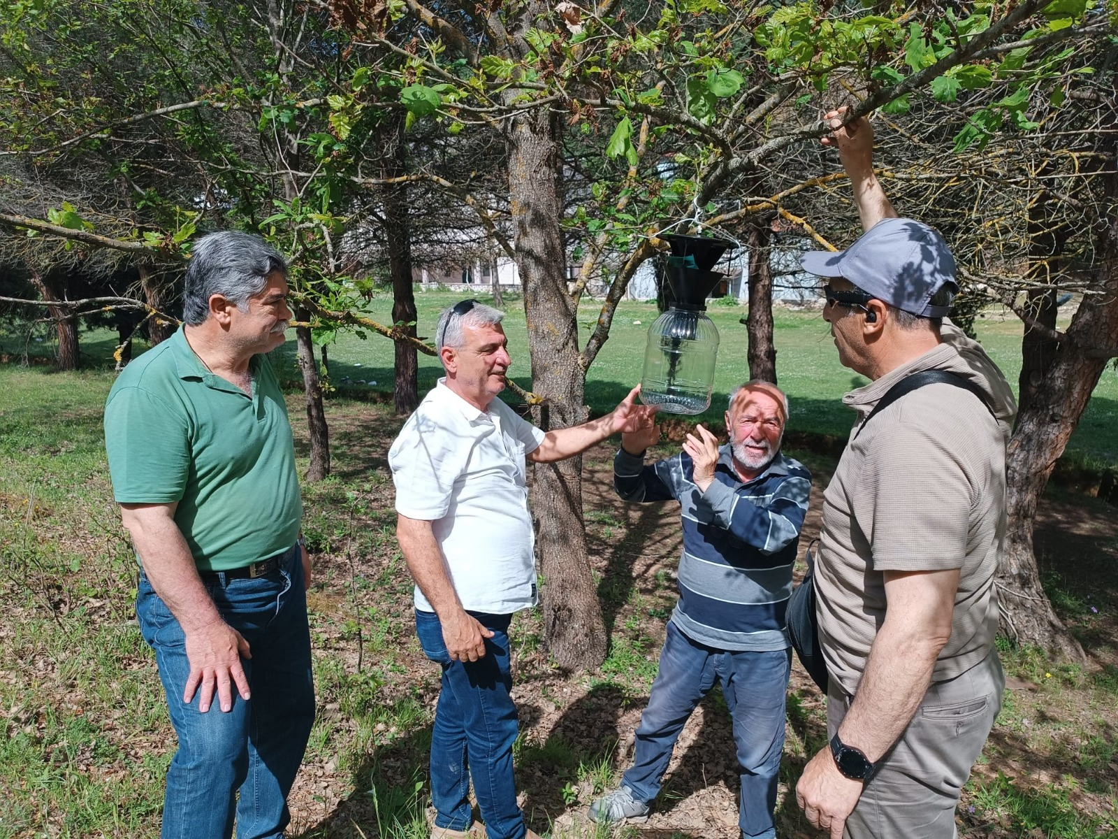 YALOVA’DA KAHVERENGİ KOKARCA İLE MÜCADELEDE YENİ AŞAMA: 225 TUZAK SAHAYA YERLEŞTİRİLDİ 4 YALOVA’DA KAHVERENGİ KOKARCA İLE MÜCADELEDE YENİ AŞAMA: 225 TUZAK SAHAYA YERLEŞTİRİLDİ
