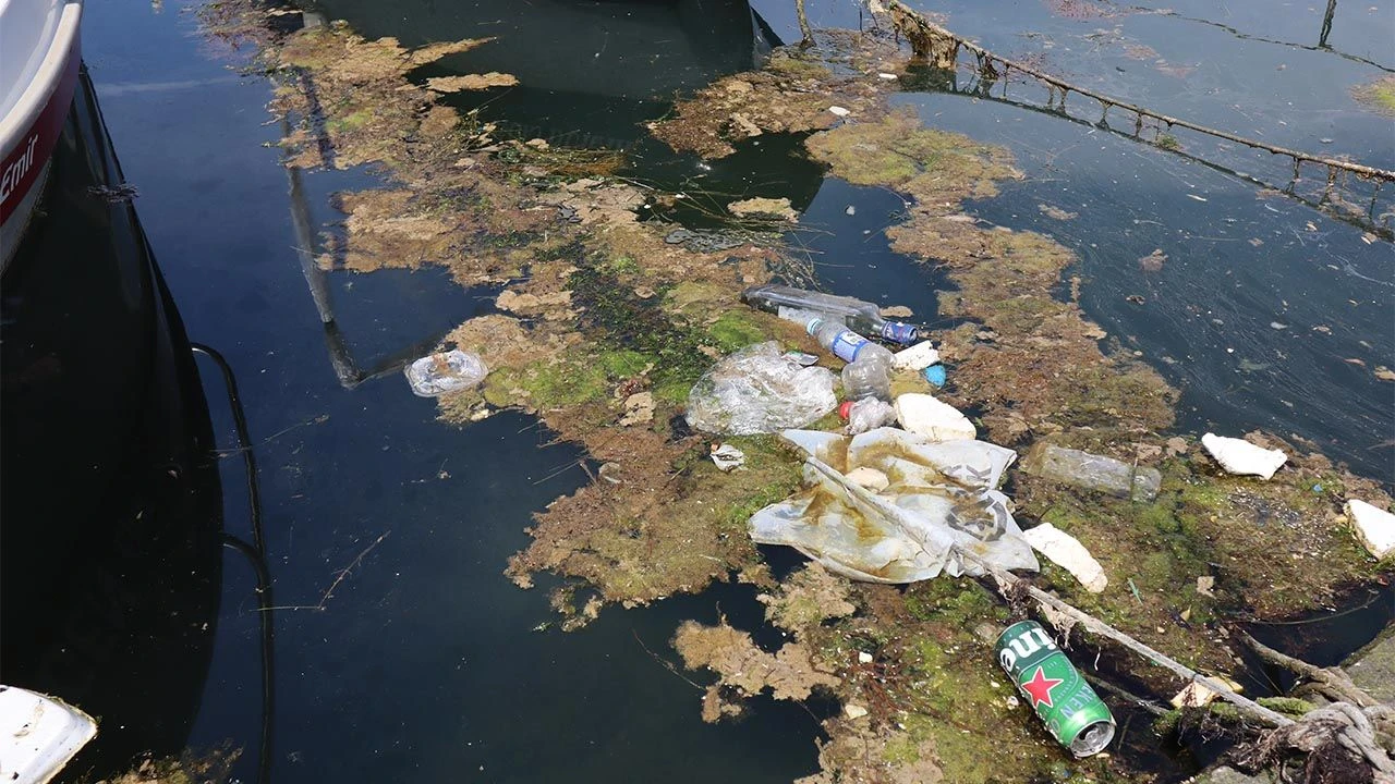 Yalova'da Müsilaj Alarmı Yeniden! Marmara Denizi'nde Deniz Salyası Geri Dönd