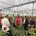 YALOVA VALİSİ DR. HÜLYA KAYA, DÜNYA ÇİFTÇİLER GÜNÜ’NDE KADIKÖY’DE GÜL HASADINA KATILDI 6 YALOVA VALİSİ DR. HÜLYA KAYA, DÜNYA ÇİFTÇİLER GÜNÜ’NDE KADIKÖY’DE GÜL HASADINA KATILDI