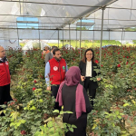 YALOVA VALİSİ DR. HÜLYA KAYA, DÜNYA ÇİFTÇİLER GÜNÜ’NDE KADIKÖY’DE GÜL HASADINA KATILDI 7 YALOVA VALİSİ DR. HÜLYA KAYA, DÜNYA ÇİFTÇİLER GÜNÜ’NDE KADIKÖY’DE GÜL HASADINA KATILDI