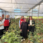 YALOVA VALİSİ DR. HÜLYA KAYA, DÜNYA ÇİFTÇİLER GÜNÜ’NDE KADIKÖY’DE GÜL HASADINA KATILDI 8 YALOVA VALİSİ DR. HÜLYA KAYA, DÜNYA ÇİFTÇİLER GÜNÜ’NDE KADIKÖY’DE GÜL HASADINA KATILDI