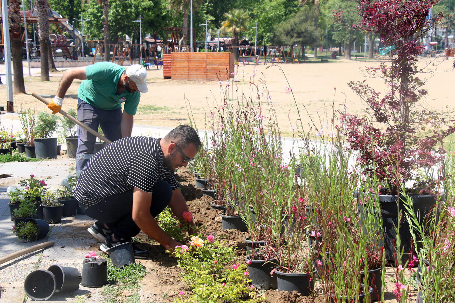 YALOVA'DA EŞ ZAMANLI BELEDİYE ATAĞI: ALTYAPI VE PEYZAJ ÇALIŞMALARI ARALIKSIZ SÜRÜYOR 4 YALOVA'DA EŞ ZAMANLI BELEDİYE ATAĞI: ALTYAPI VE PEYZAJ ÇALIŞMALARI ARALIKSIZ SÜRÜYOR