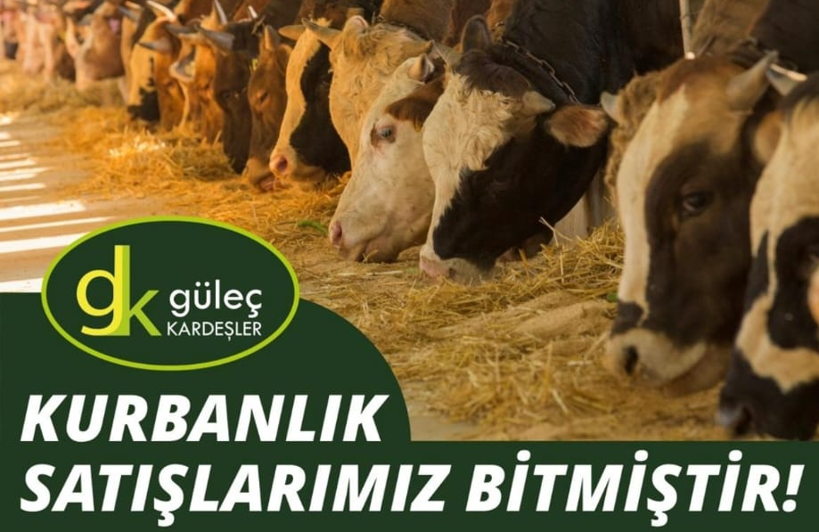 Güleç Kardeşler Besi Çiftliği’nden Kurban Bayramı Öncesi Yoğun İlgi: Tüm Kurbanlıklar Tükendi