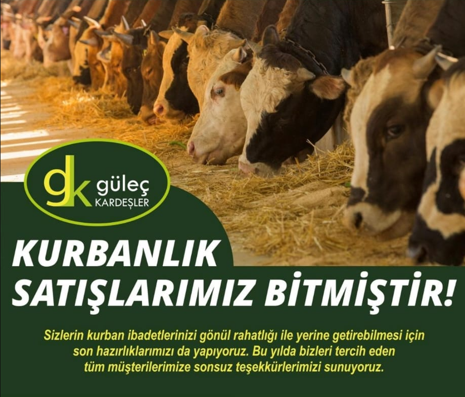 Güleç Kardeşler Besi Çiftliği’nden Kurban Bayramı Öncesi Yoğun İlgi: Tüm Kurbanlıklar Tükendi 4 Güleç Kardeşler Besi Çiftliği’nden Kurban Bayramı Öncesi Yoğun İlgi: Tüm Kurbanlıklar Tükendi