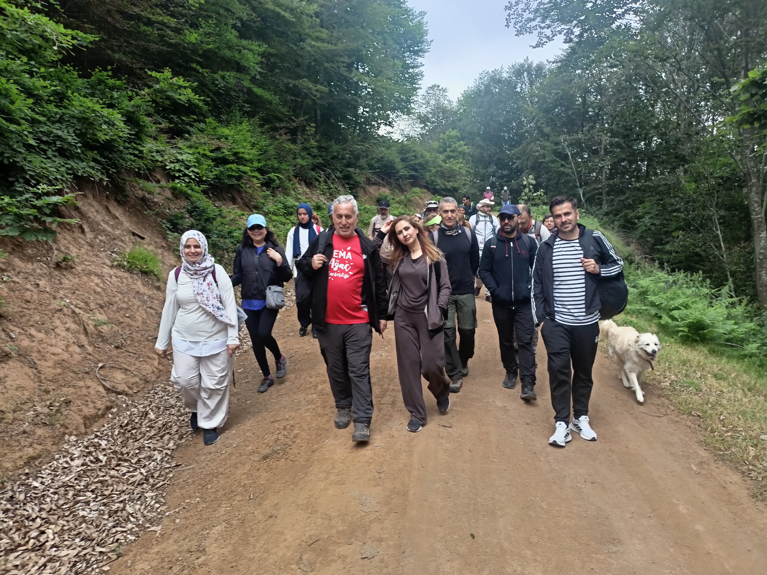 TEMA Vakfı Yalova Gönüllüleri Doğada Buluştu: Höyüktepe’den Dumantepe’ye 11 Kilometrelik "Toprak Yürüyüşü"