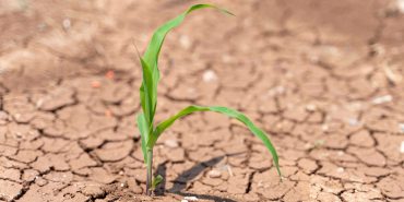 TEMA Vakfı: “Toprak Tükeniyor, Şimdi Doğaya Yatırım Zamanı”