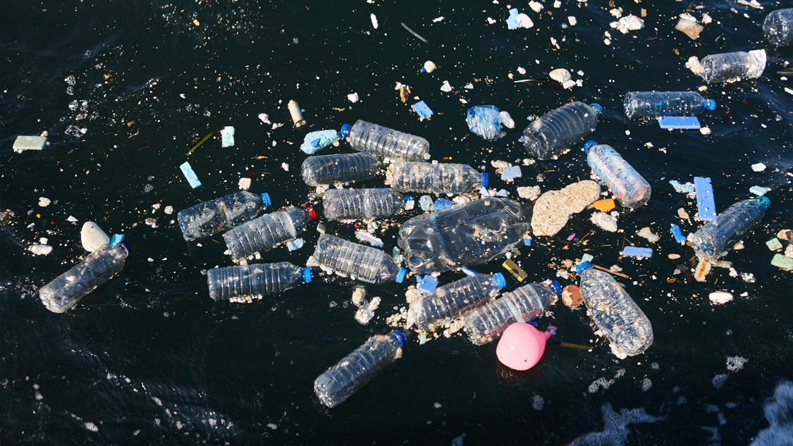 TEMA Vakfı'ndan Dünya Çevre Günü Çağrısı: “Plastik Kirliliğine Son Ver, Yaşamı Koru!” 5 TEMA Vakfı'ndan Dünya Çevre Günü Çağrısı: “Plastik Kirliliğine Son Ver, Yaşamı Koru!”