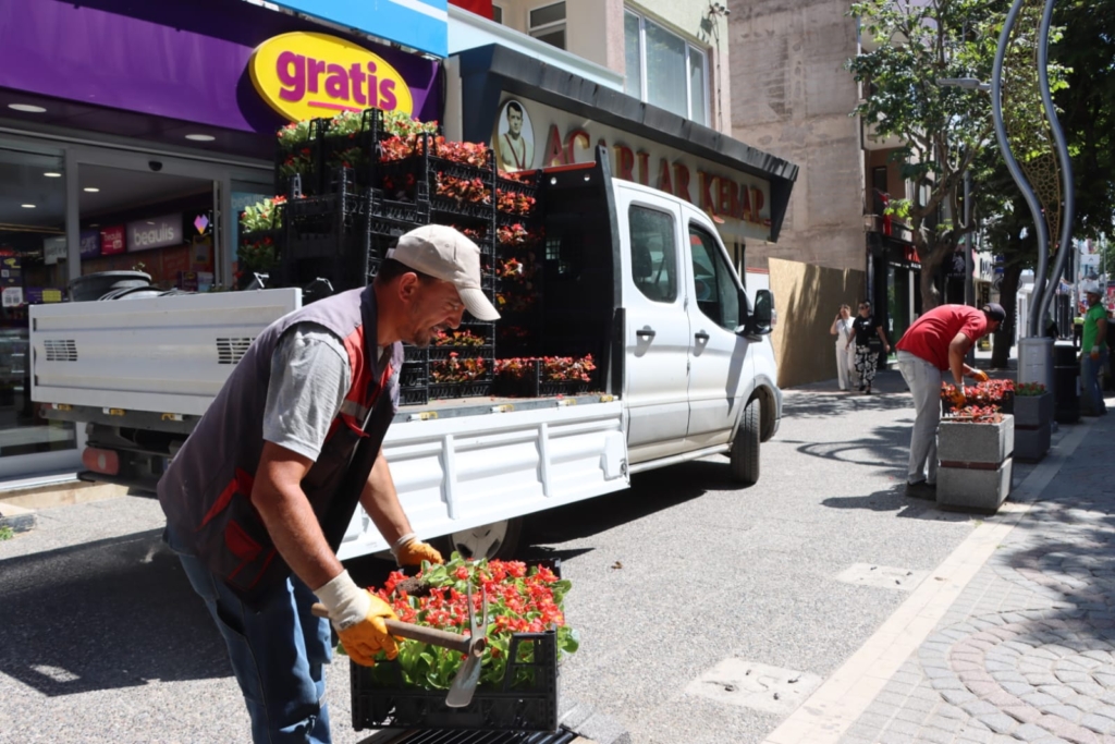 Yalova Gazipaşa Caddesi Mevsimlik Çiçeklerle Renklendi