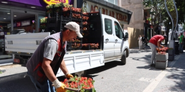 Yalova Gazipaşa Caddesi Mevsimlik Çiçeklerle Renklendi