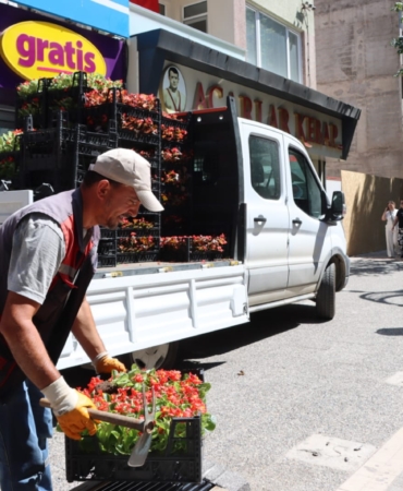 Yalova Gazipaşa Caddesi Mevsimlik Çiçeklerle Renklendi