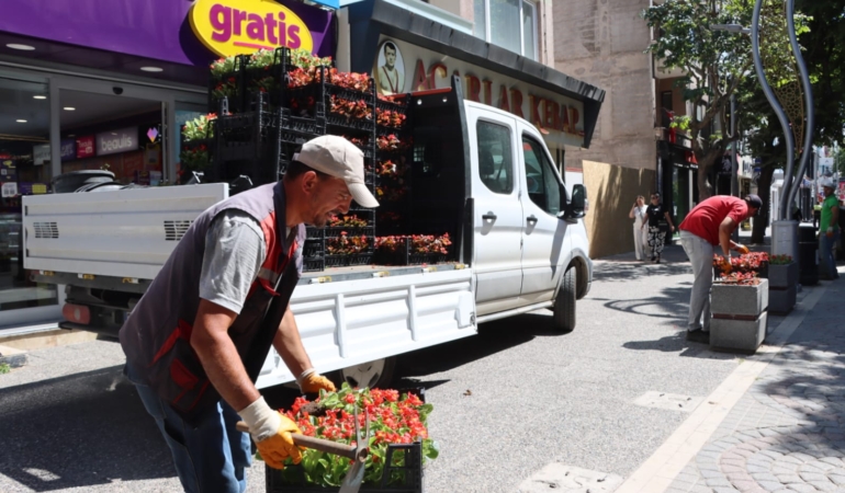 Yalova Gazipaşa Caddesi Mevsimlik Çiçeklerle Renklendi