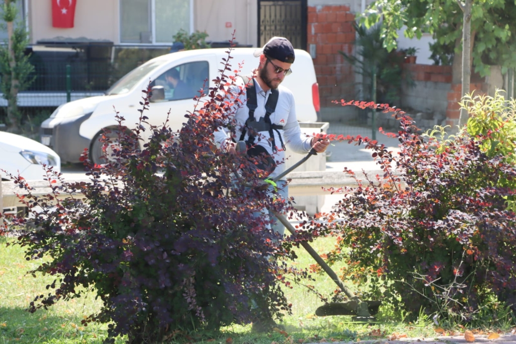 Yalova Belediyesi’nden Yaz Mesaisi: Parklarda Çim Biçme Çalışmaları Devam Ediyor