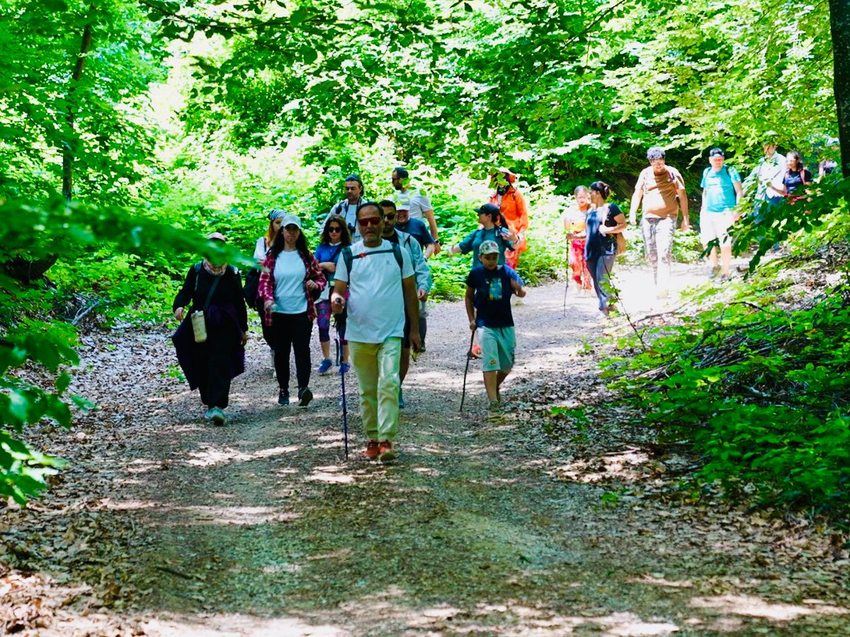 YALOVA'DA DOĞA VE FOTOĞRAF BİR ARADA: DELMECE VE KARLIK YAYLALARI FOTOMARATONA EV SAHİPLİĞİ YAPTI