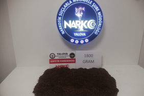 Yalova’da Uyuşturucu Operasyonu: 1 Kilo 800 Gram Sentetik Kannabinoid Ele Geçirildi