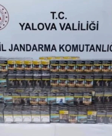 Yalova Ro-Ro Terminali'nde Kaçak Sigara Operasyonu: 1 Gözaltı