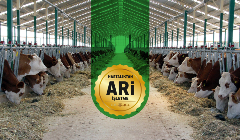 YALOVA’DA HAYVANCILIĞA ÖRNEK BİR BAŞARI: KUDU ÇİFTLİĞİ’NE HASTALIKTAN ARİ İŞLETME BELGESİ VERİLDİ