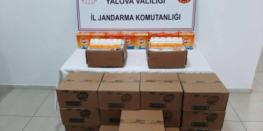 Yalova’da Sahte Güneş Kremi ve Sinek Kovucu Losyon Operasyonu: 284.500 TL Değerinde Kaçak Ürün Ele Geçirildi