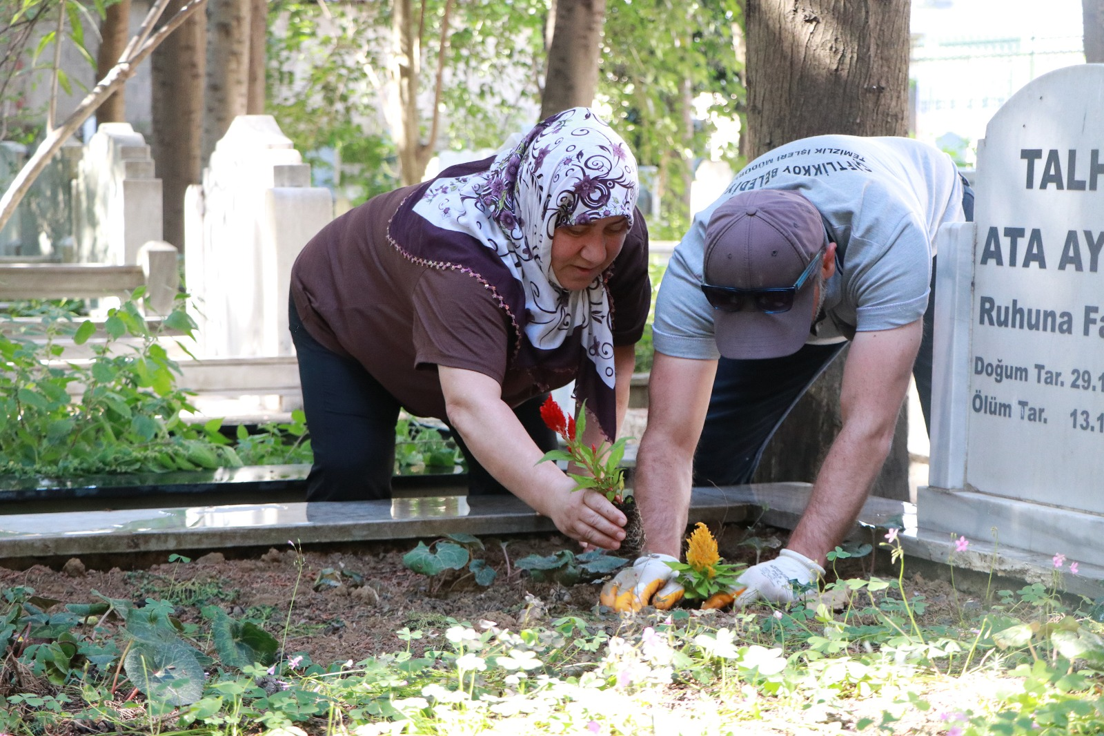 Çiftlikköy’de Mezarlıklarda Bayram Hazırlığı: Vatandaşa Çiçek, Lokum ve Gül Suyu İkramı