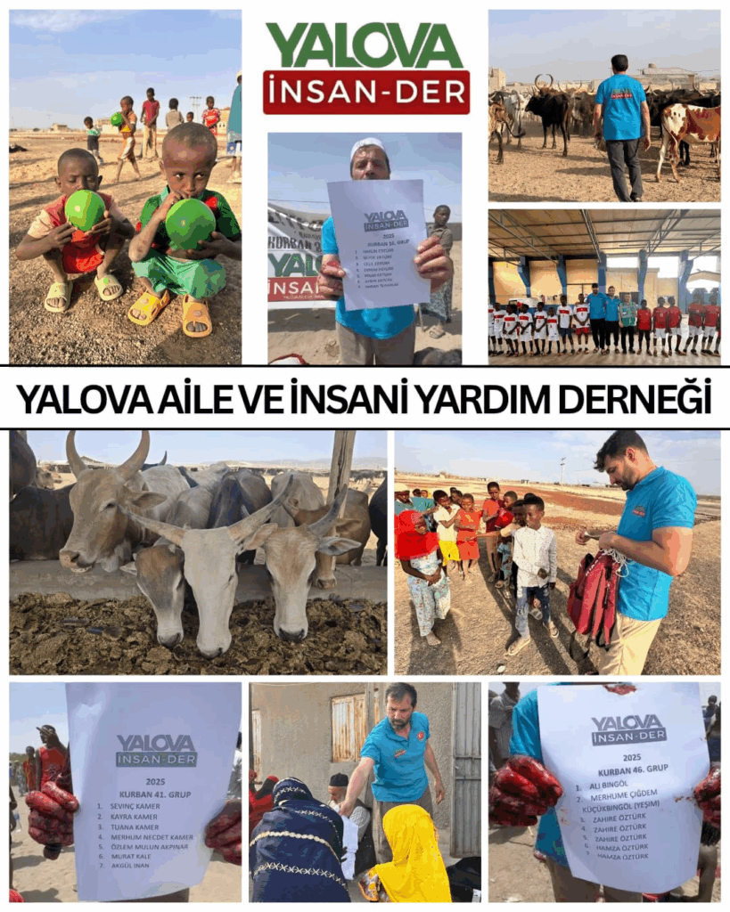 YALOVA AİLE VE İNSANİ YARDIM DERNEĞİ’NDEN GAZZE VE AFRİKA’YA KURBAN VE YARDIM ELİ