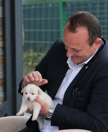 Çiftlikköy Belediyesi’nden Sokak Hayvanlarına Tam Destek: Mayıs Ayında 634 Can Dostun Bakımı Yapıldı