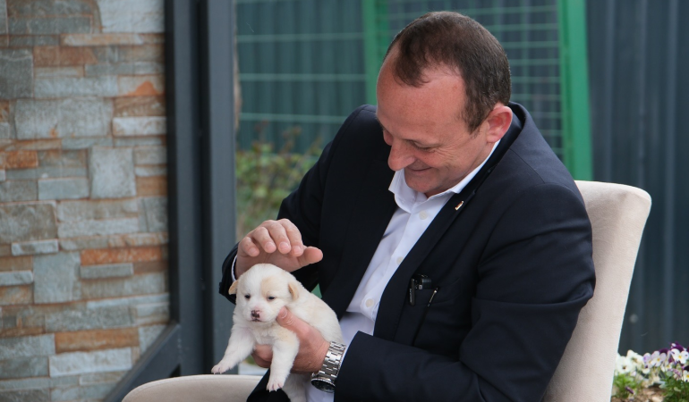 Çiftlikköy Belediyesi’nden Sokak Hayvanlarına Tam Destek: Mayıs Ayında 634 Can Dostun Bakımı Yapıldı