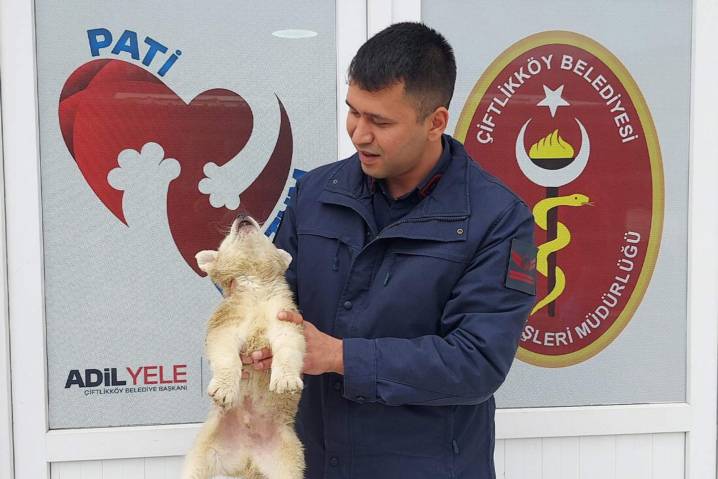 Çiftlikköy Belediyesi’nden Sokak Hayvanlarına Tam Destek: Mayıs Ayında 634 Can Dostun Bakımı Yapıldı