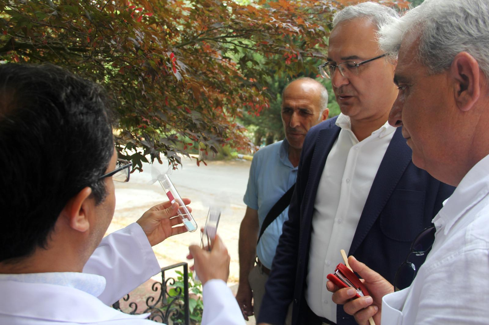 Kahverengi Kokarcaya Karşı Biyolojik Mücadele: Samuray Arıları Yalova’da Doğaya Salındı