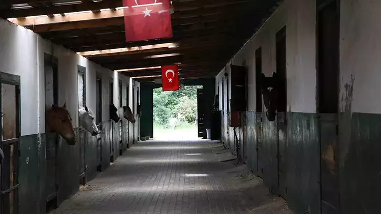 Yalovalı Kadın Girişimciden Atlı Spora Öncülük: 150 Sporcuya Eğitim Veriyor 4 Yalovalı Kadın Girişimciden Atlı Spora Öncülük: 150 Sporcuya Eğitim Veriyor