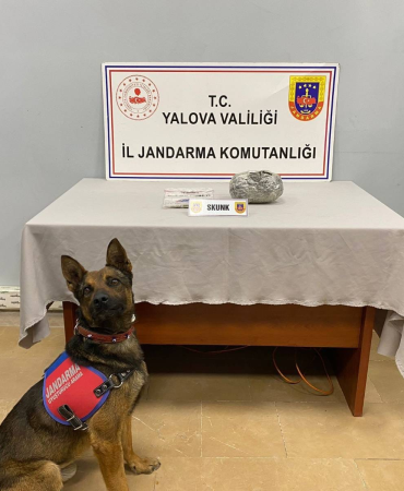 Yalova’da Uyuşturucu Operasyonu: 525 Gram Skunk Ele Geçirildi, 1 Kişi Tutuklandı