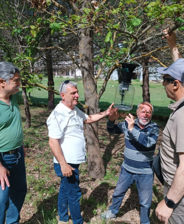 FEROMON TUZAKLARA ZARAR VERMEYİN: KAMU MALINA VERİLEN ZARAR SUÇTUR