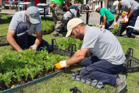 Yalova’da Mevsimlik Çiçeklerle Renkli Dönüşüm