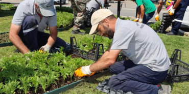Yalova’da Mevsimlik Çiçeklerle Renkli Dönüşüm