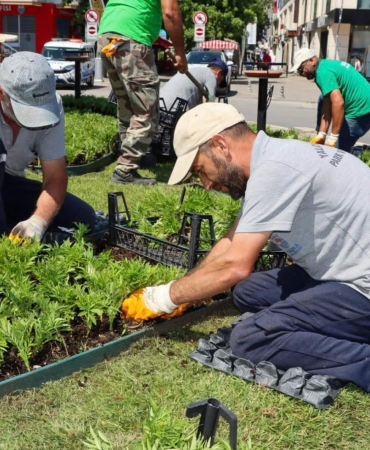 Yalova’da Mevsimlik Çiçeklerle Renkli Dönüşüm