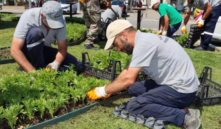 Yalova’da Mevsimlik Çiçeklerle Renkli Dönüşüm