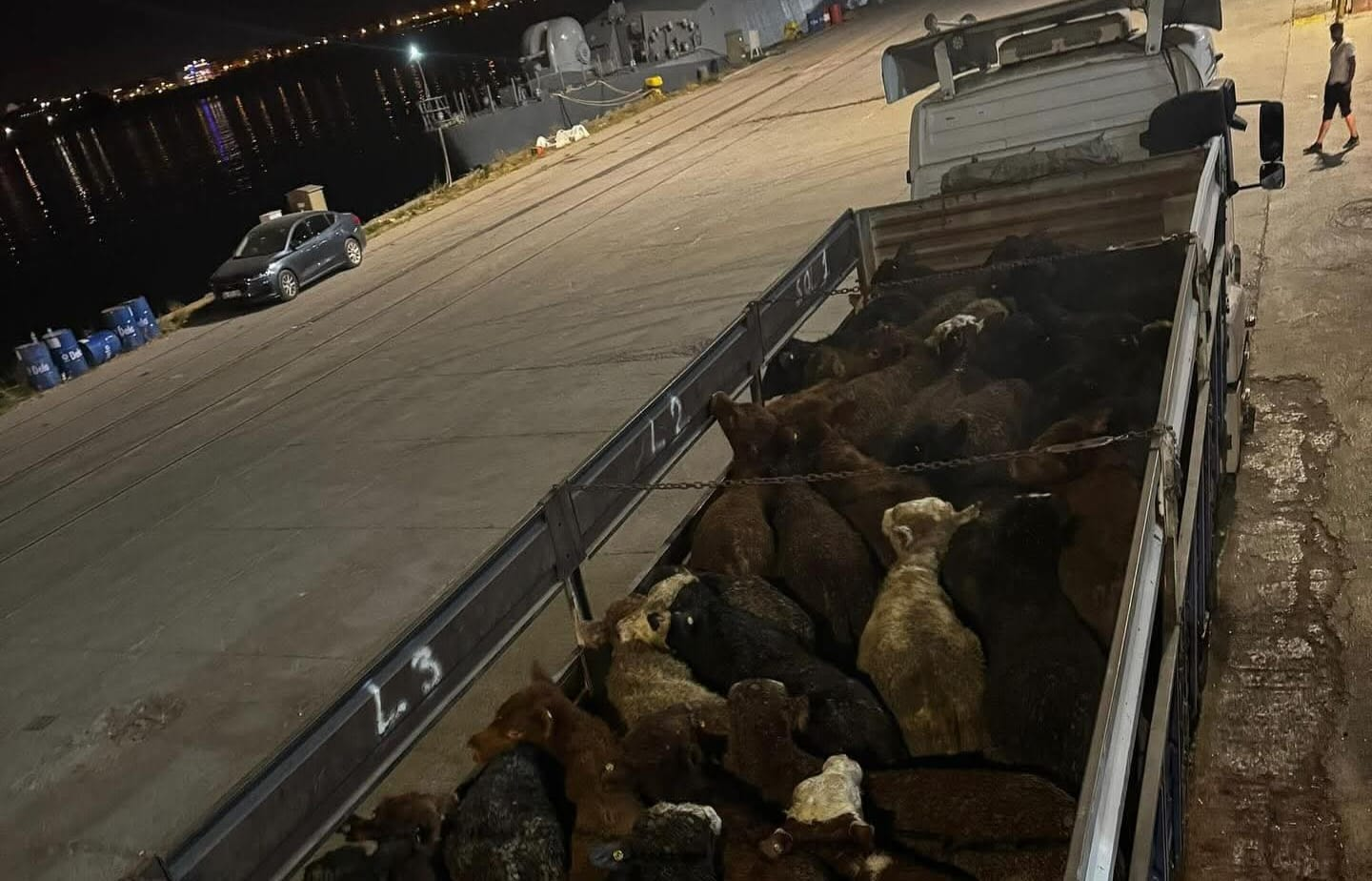İthal Besilik Hayvanlar Yolda, Karkas Et Satışları Sürüyor "Güleç Kardeşler"den Yalova ve Marmara’ya Kaliteli Et Tedariki