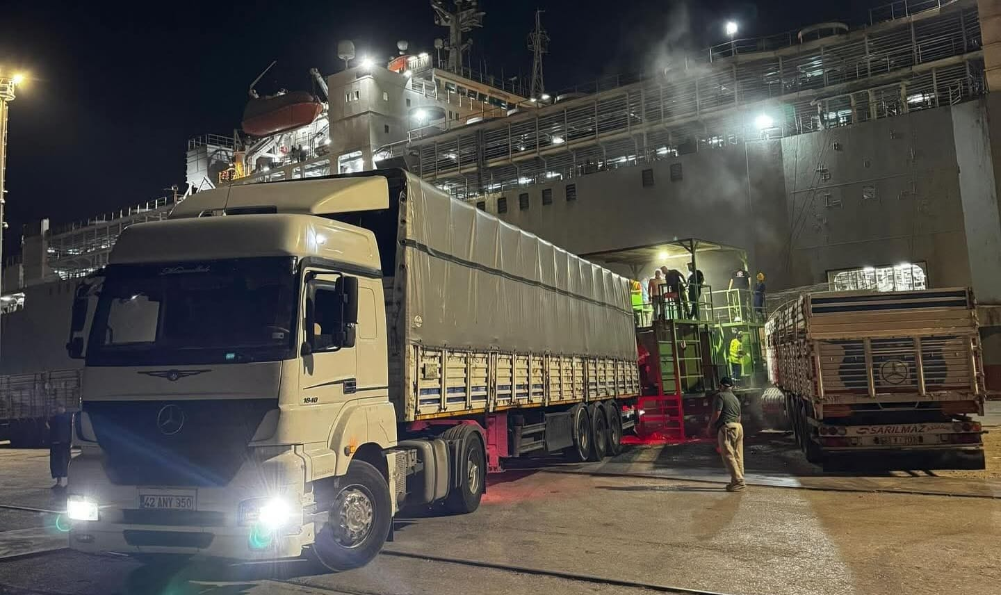 İthal Besilik Hayvanlar Yolda, Karkas Et Satışları Sürüyor "Güleç Kardeşler"den Yalova ve Marmara’ya Kaliteli Et Tedariki