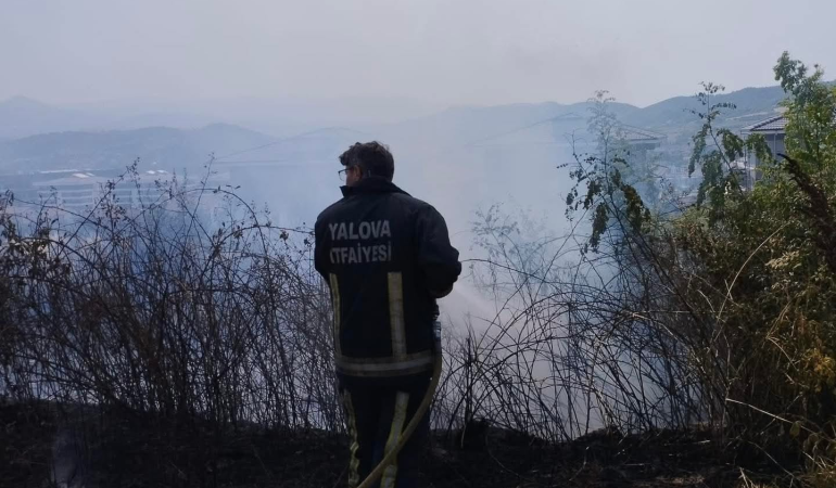 Yalova’da Arazi Yangını Korkuttu: Ekiplerin Hızlı Müdahalesi Felaketi Önledi