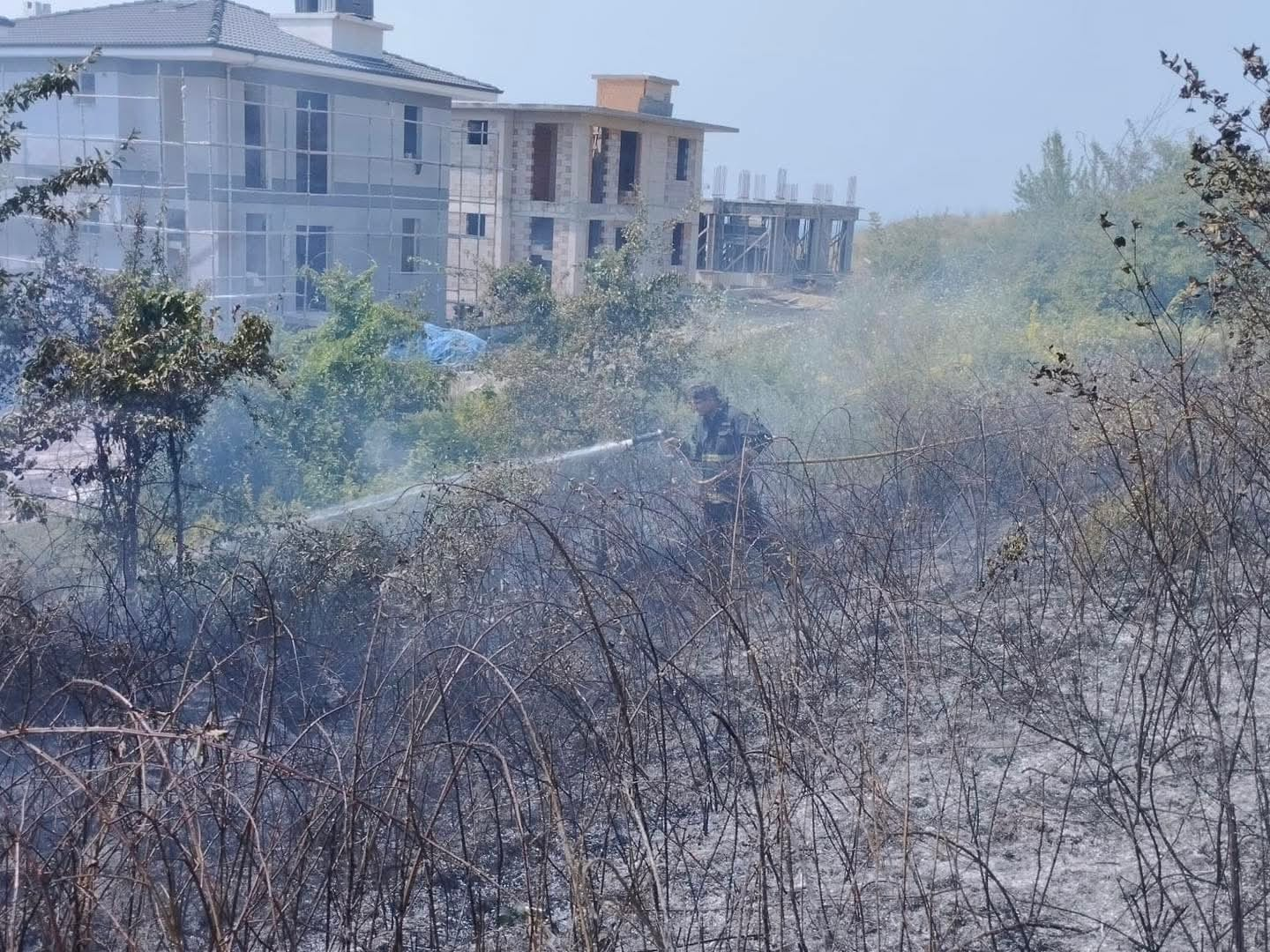 Yalova’da Arazi Yangını Korkuttu: Ekiplerin Hızlı Müdahalesi Felaketi Önledi