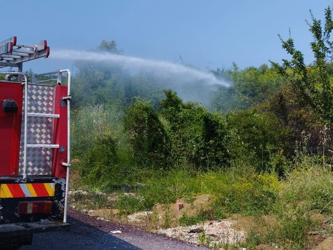 Yalova’da Arazi Yangını Korkuttu: Ekiplerin Hızlı Müdahalesi Felaketi Önledi