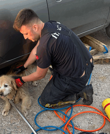 ÇİFTLİKKÖY’DE İTFAİYEDEN 4 CAN DOSTA KURTARMA OPERASYONU