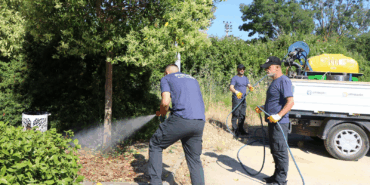 Çiftlikköy’de Keneye Karşı Önleyici İlaçlama Başlatıldı